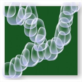 immagine:  Consulenza naturopatica con TEST Bioenergetico
