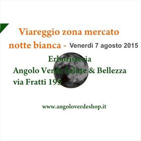 immagine:  Notte Bianca Viareggio 2015