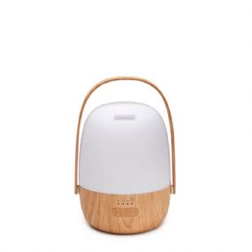 miniatura confezione Diffusore ad ultrasuoni e batteria ELM