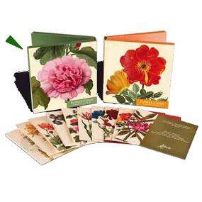 immagine di z Flower Cards biglietti malva