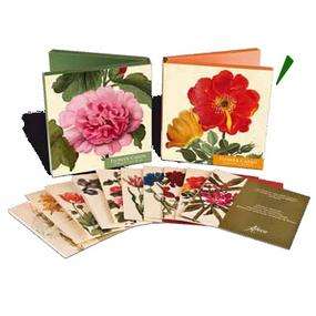 immagine di z Flower Cards biglietti rosa