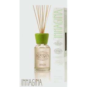 immagine di Diffusore con bastoncini 100ml Immagina