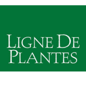 Ligne De Plantes