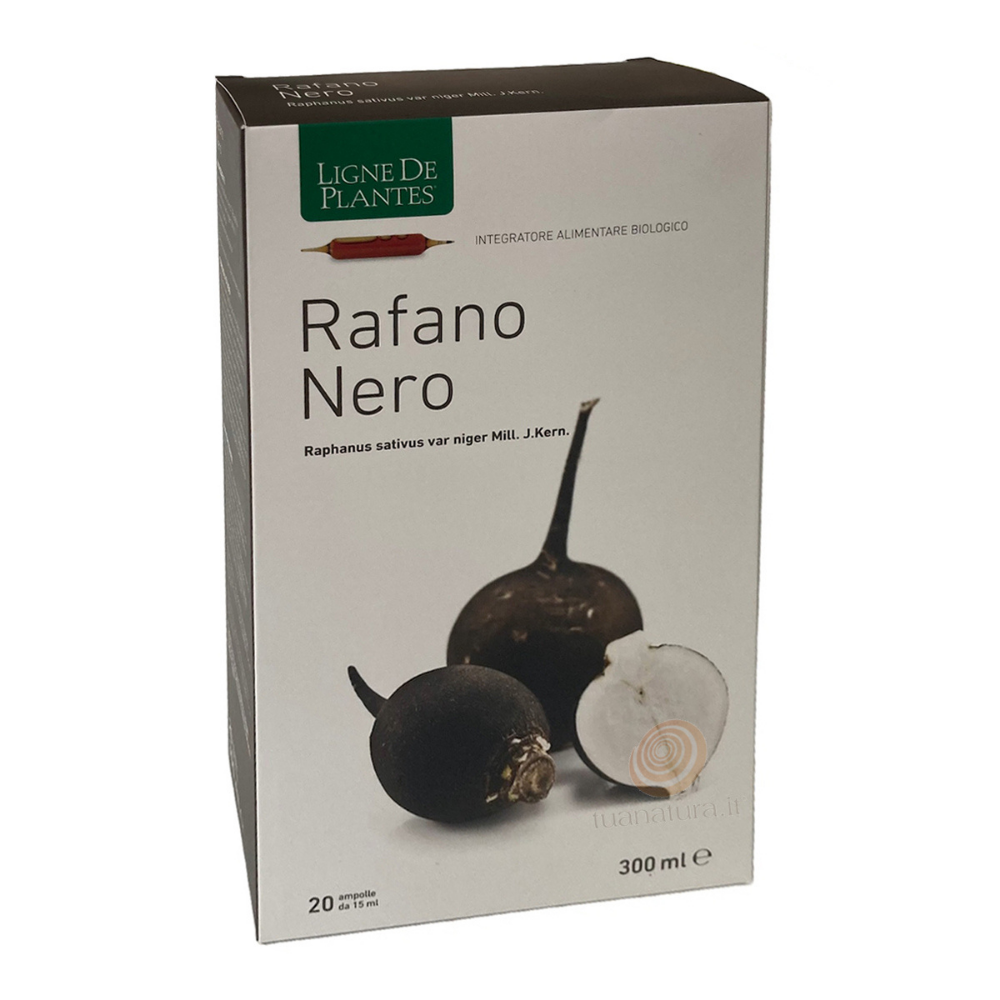Ampolle Ligne de Plantes Rafano Nero per salute epatica e digestiva