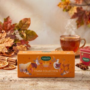 Neavita Tisana Collection – Cofanetto Assortito Con Selezione Di 15 Tisane E Infusi Bio In Filtro Scrigno Per Il Relax E Il Benessere Quotidiano