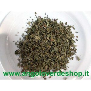 Olmaria pianta officinale con fiori bianchi e foglie pennate