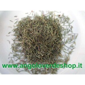 Rosmarino (Rosmarinus officinalis): Lo Stimolante Naturale per il Vigore Fisico e Mentale