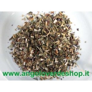 Pianta di Verga d'Oro, piante officinali per infusi naturali